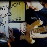 Xxxtentacion Numb Bass Cover With Tabs