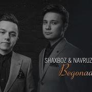 Begonadekmiz Shaxboz Navruz