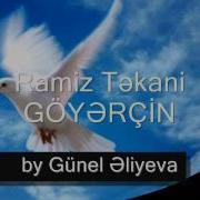 Ramiz Tekani Goyercin