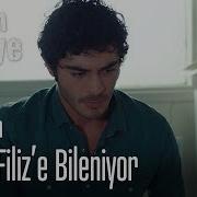 Barış Filiz E Bileniyor Bizim Hikaye 43 Bölüm