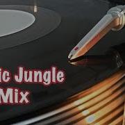 Jungle 1998