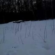 На Поганом На Болоте Две Кикиморы