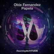 Obie Fernandez Papela