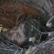 Худоеров Салим Он Песня Мехри Модар
