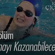 Songul Guney Kacin Kurasi