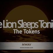 The Lion Sleeps Tonight The Tokens Karaoke