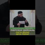 Хехоев Умар Саг1А Далар