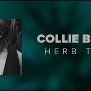 Collie Buddz Herb Tree