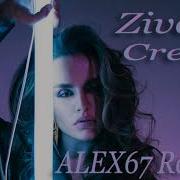 Credo Zivert Remix