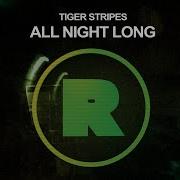 Tiger Stripes All Night Long