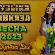 Альбом Кавказские 2022