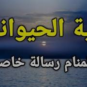 تفسير رؤية الحيوانات في المنام ودلالاتها على حياة العزباء المتزوجة