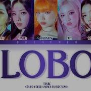 Tri Be Lobo Lyrics