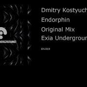 Dmitry Kostyuchenko Endorphin Original Mix