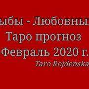 Рыбы Любовный Таро Прогноз Февраль 2020 Г Гадание Таро Рыбы Любовныйтаропрогнозфевраль2020 Рыбы