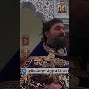 Православные Проповеди Андрея Ткачева Видео