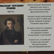 Пушкин Цветы