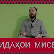 01850 Мисвок Чи Фоида Дорад