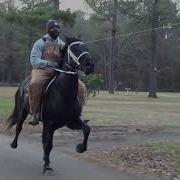 Tennessee Walker