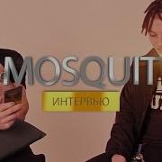 Интервью С Mosquit