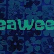 Spongebob Music Seaweed