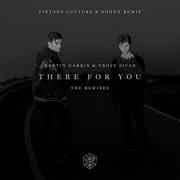 Martin Garrix There For You Vintage Culture Kohen Remix Sound Music