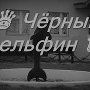 Chorni Delfin Lyrics Черный Дельфин Текст Песни