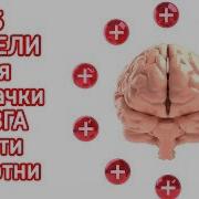 33 Идеи Как Прокачать Мозг До 100 Как Развить Мышление Думать Быстрее И Стать Умным