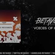 Betavoice Voices Of Hardstyle