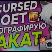 Zxcursed Фотографирую Закат