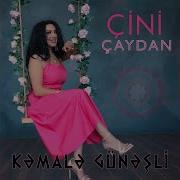 Cini Caydan