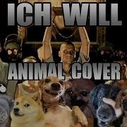 Rammstein Ich Will Animal Cover