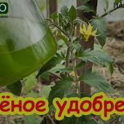 Ты Даже Не Даже