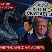 Демура Новая Американская Афера Прилетят Ли Черные Лебеди В 2025 Году 10 03 25