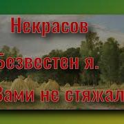 Стихотворение Н А Некрасов Безвестен Я Я Вами Не Стяжал Стихи Русских