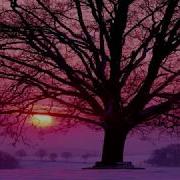 Richard Clayderman Love Song In Winter