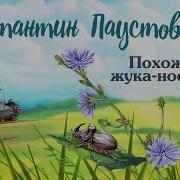 Похождения Жука Носорога