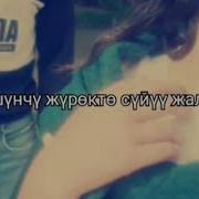 Тушунчу Журокто Суйуу Жалын Куйут