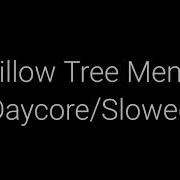 Willow Tree Meme Song Slowled