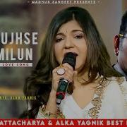 Main Tujhse Aise Milun Alka Yagnik