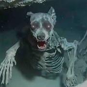 Cave Driver