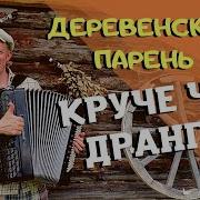 Андрей Кир На Баяне