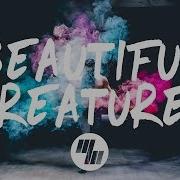 Beautiful Creatures Illenium Ft Max