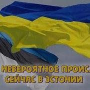Ой У Лузи Червона Калина На Стадионе