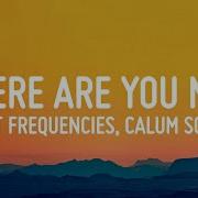 Lost Frequencies Ft Calum Scott Where Are You Now Lyrics