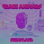 Glass Animals Helium