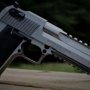 Gunshot Sound Effect Single Shot