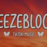 Alt J Breezeblocks Lyrics Please Don T Go I Love You So My Lovely Tiktok Song Edit