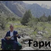 Махмадали Аюби Гариби