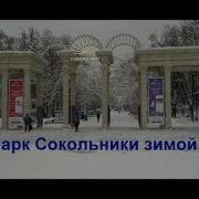 Парк Сокольники Зимой Alexander Zakurdaev